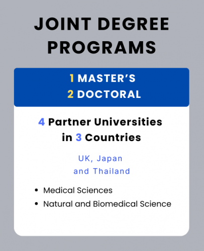 joint masters phd programs international relations