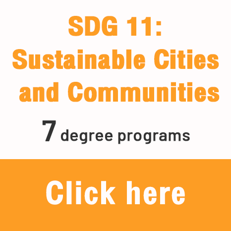 SDG-b11
