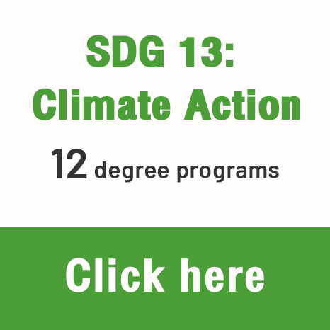 SDG-b13