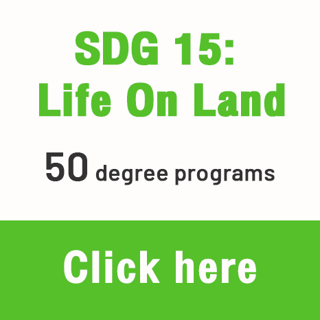 SDG-b15